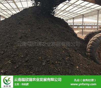 個(gè)舊微生物有機(jī)肥推薦 福欣瑞農(nóng)業(yè)，創(chuàng)新研發(fā)引領(lǐng)綠色農(nóng)業(yè)新篇章